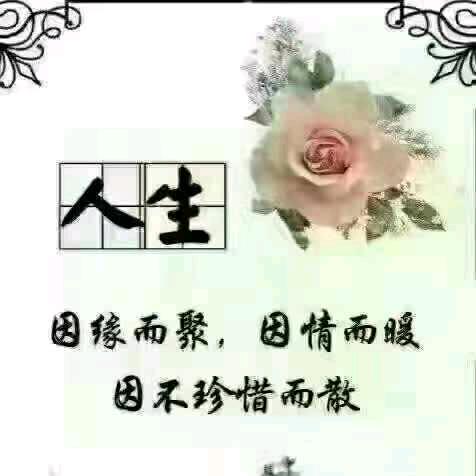 顺其自然