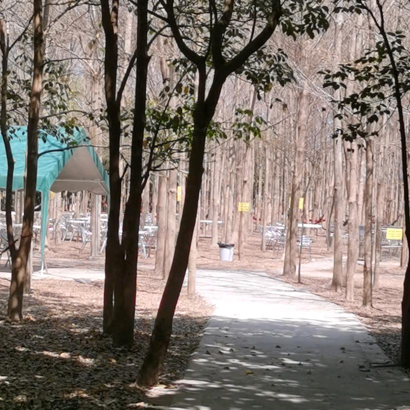 三七二一，今生有李