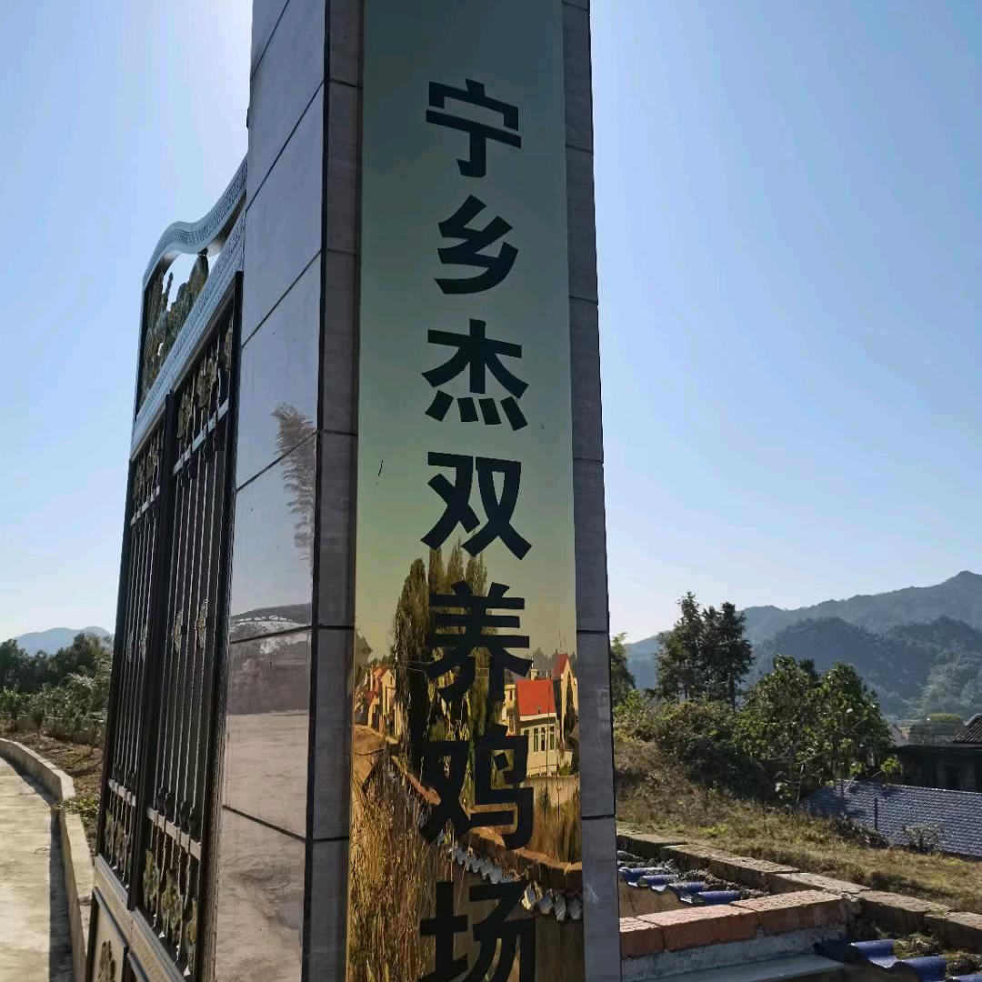 宁乡杰双养鸡场