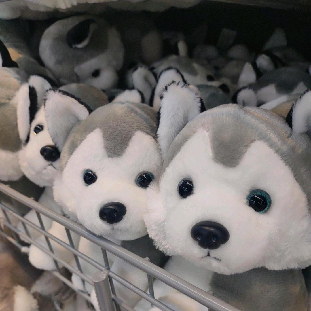 苍南县燕诺百货店