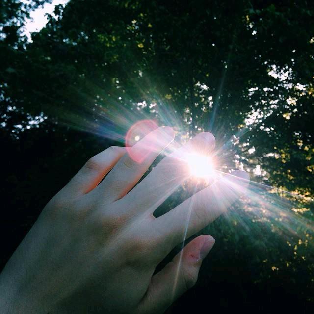 🌸不为往事忧🌹只愿余生笑🌸