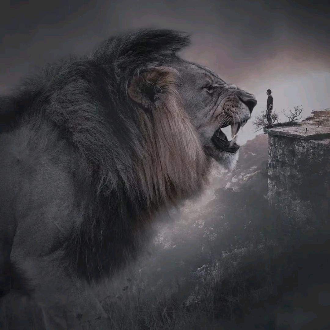 一派砂锅炖(老店)