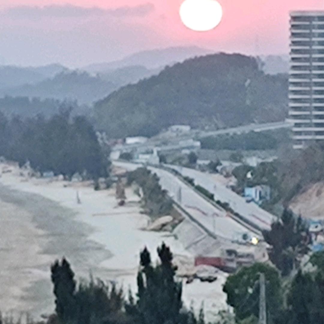 龙哥