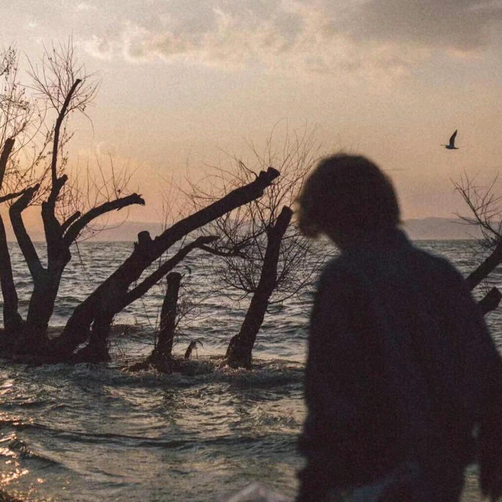 浅笑轻吟梦