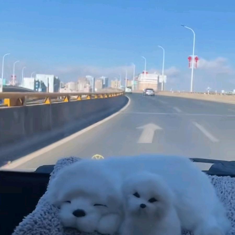 天涯海角共明月