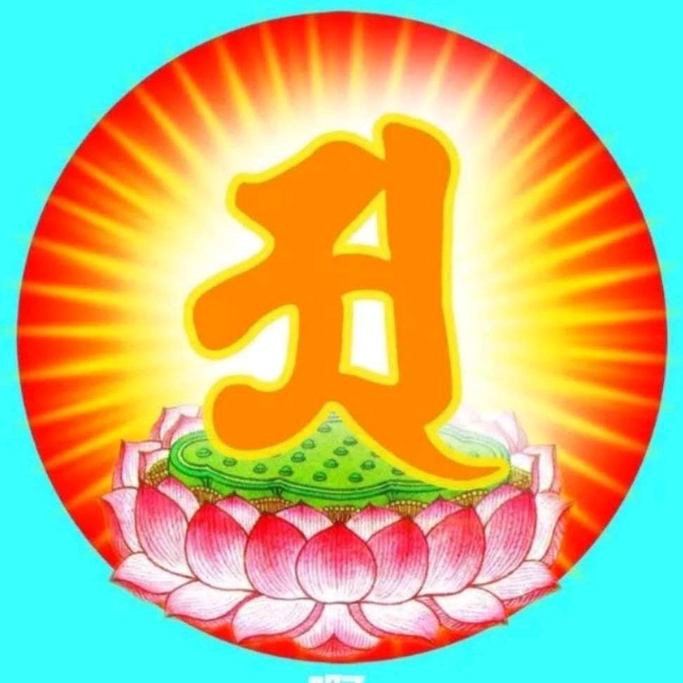 初学阿蛮