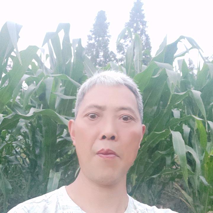 心心相印