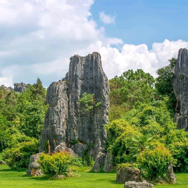 超然🍁🎵音乐🎶🍁