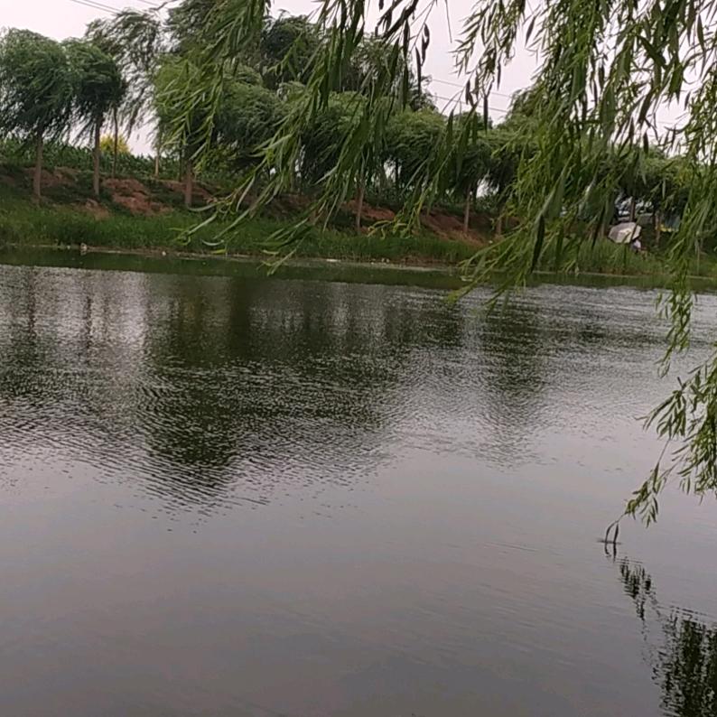 永观天下
