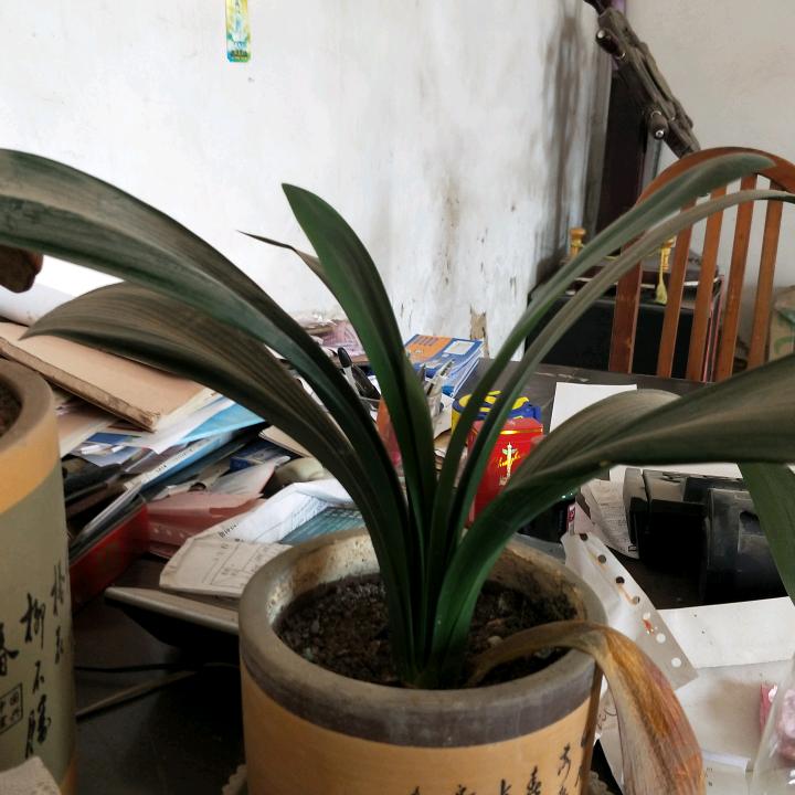 久久