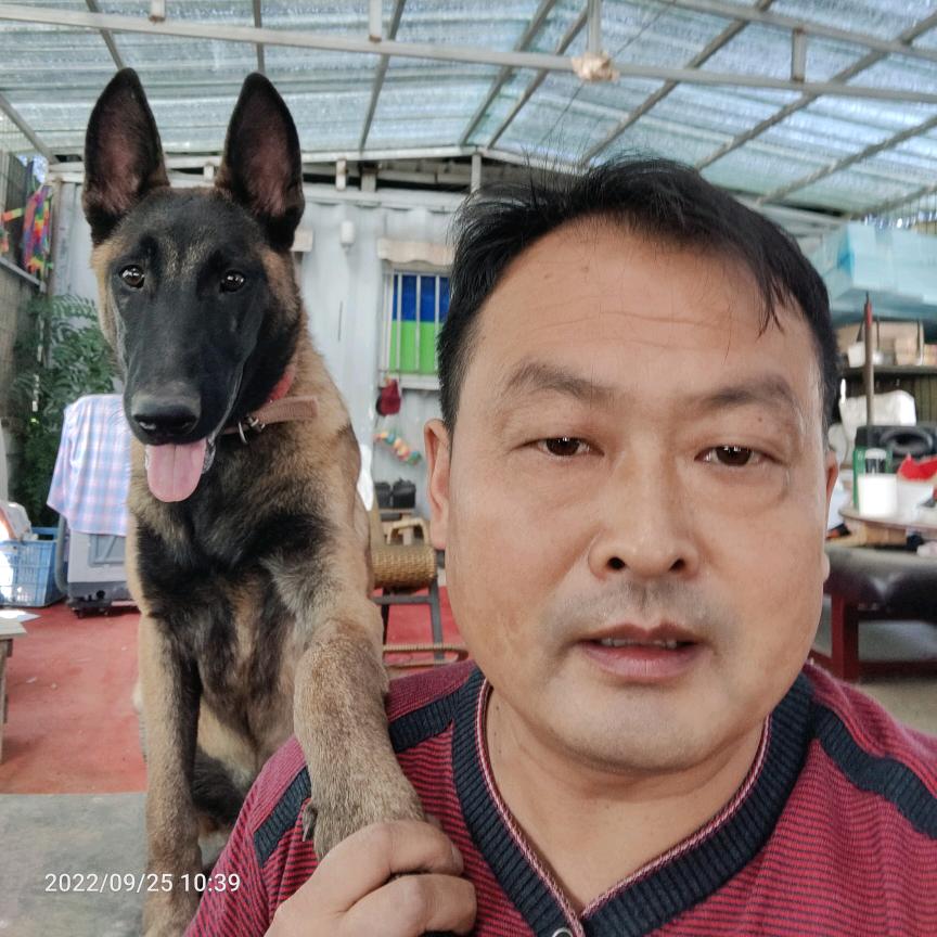 爱犬神豆（不定时开播）