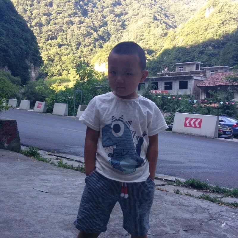 王攀 （陕西秦烽世纪建筑工程有限公司）