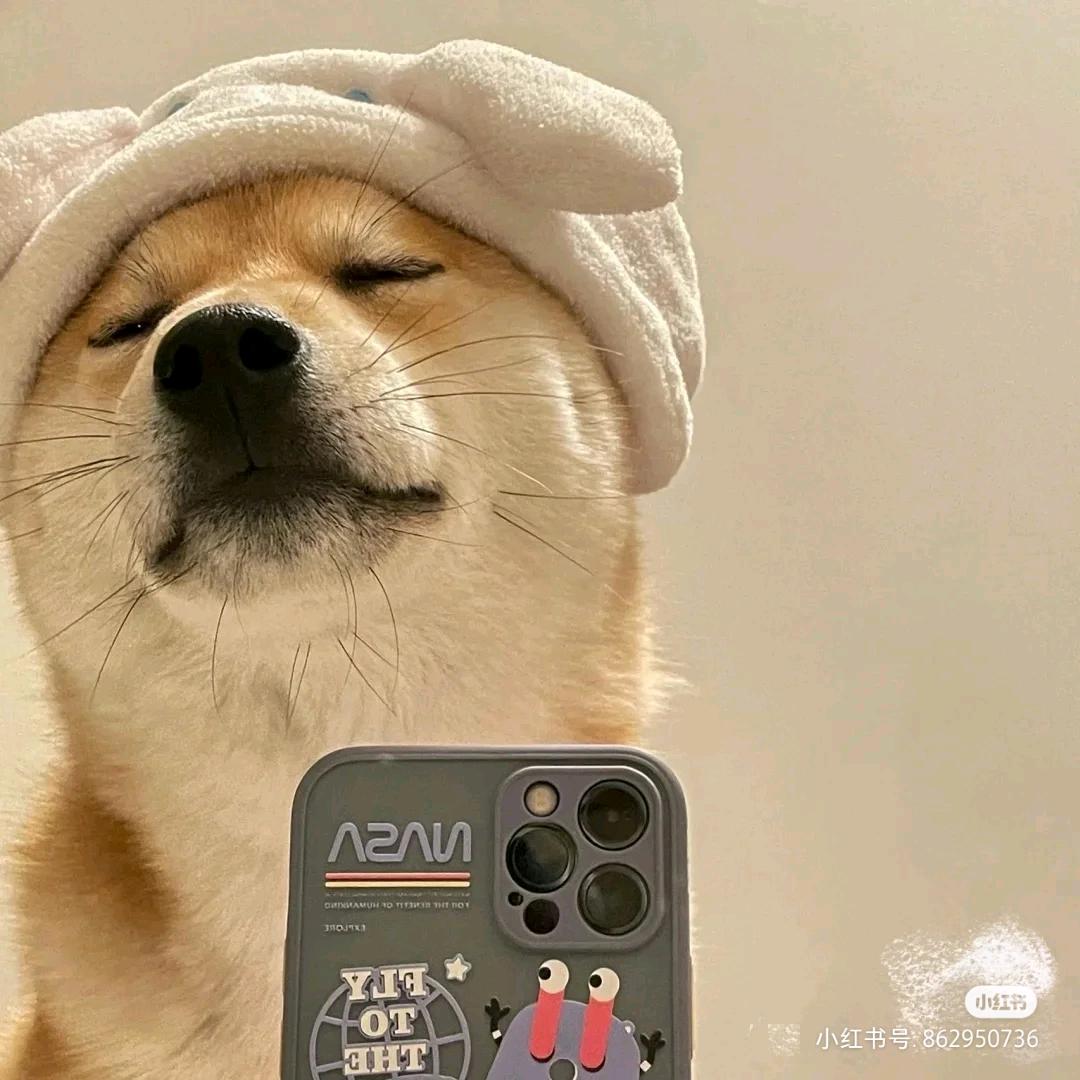 新人