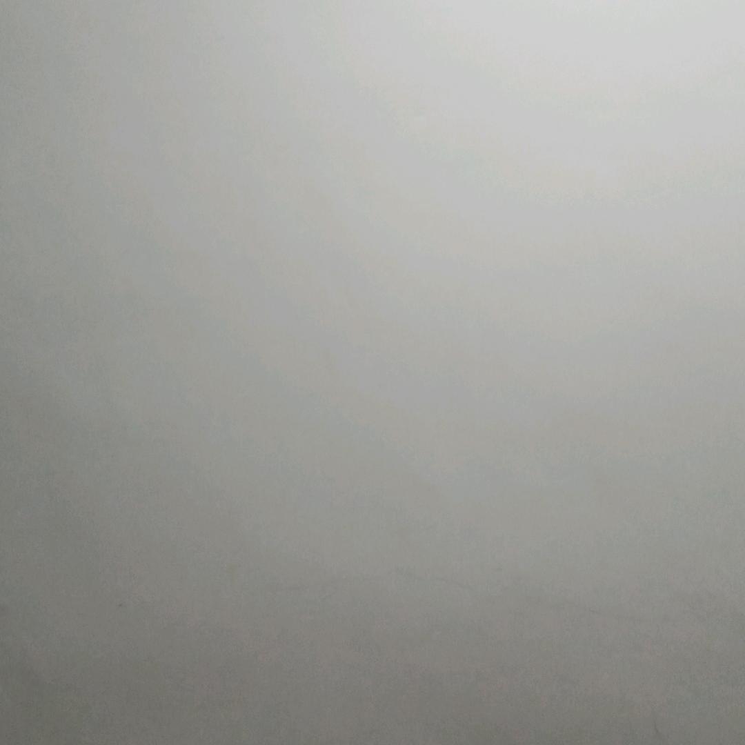 单身大叔