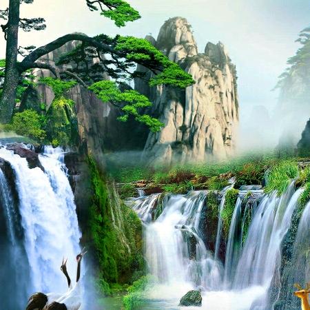 用户849964859家和万事兴