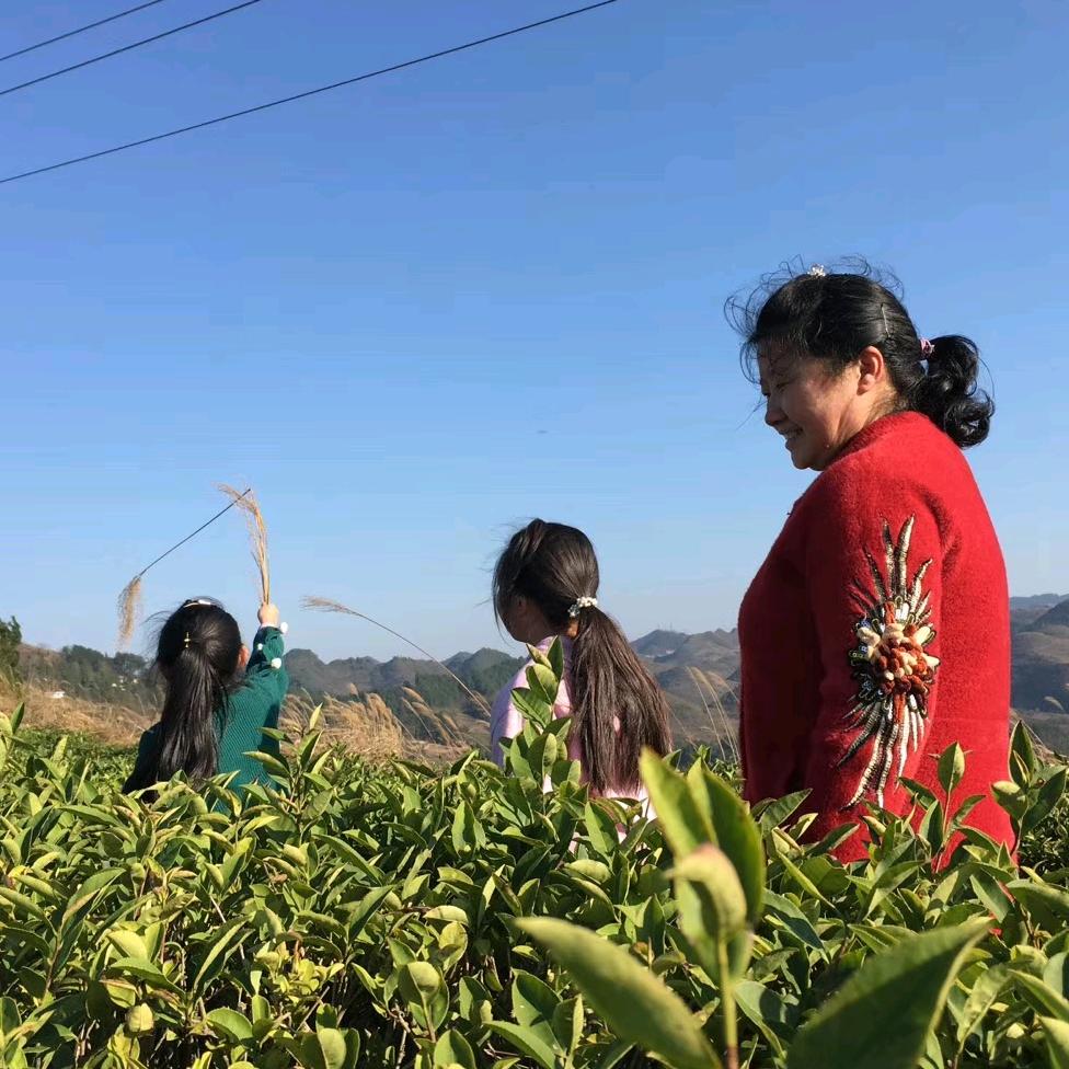 周维英