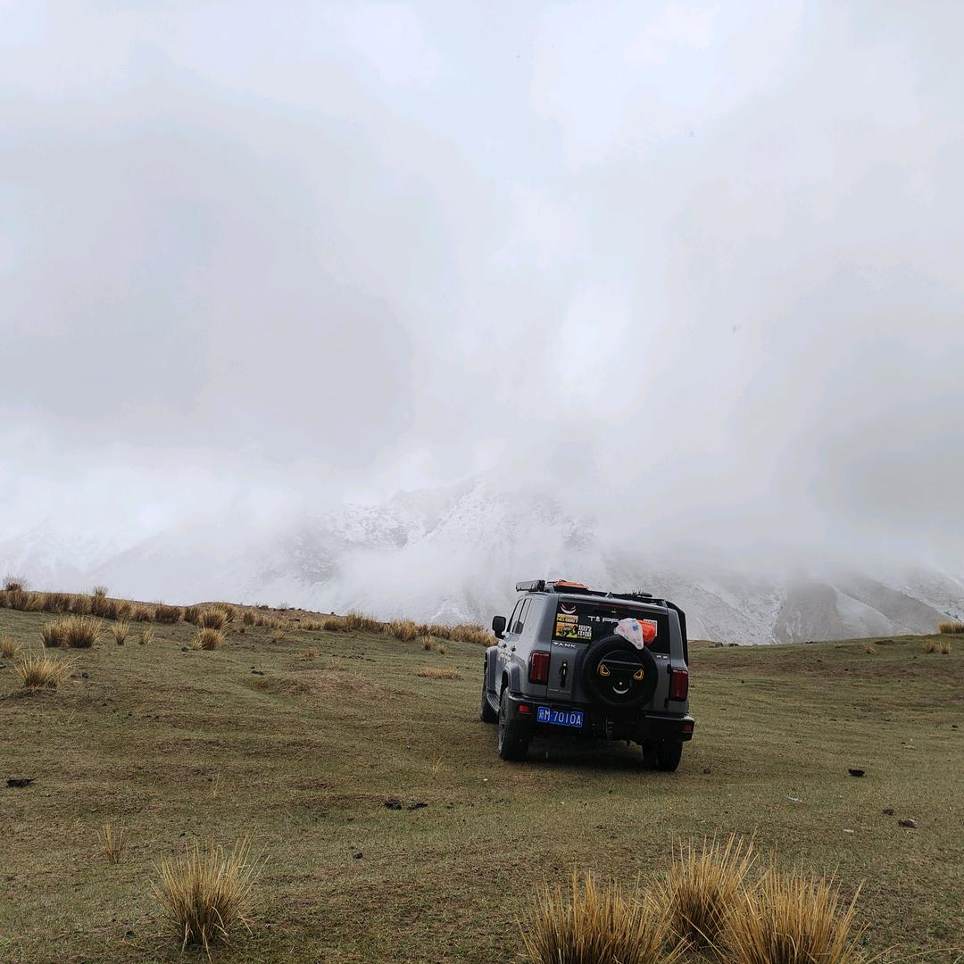 A喀什福星地膜小杜