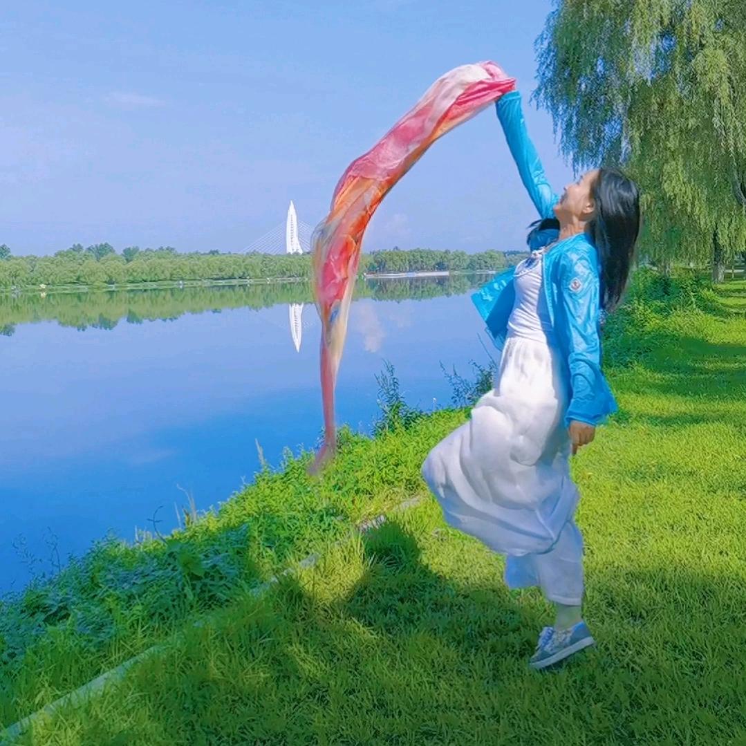 森林絮雨
