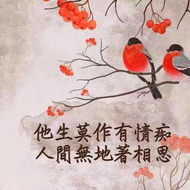 苏N🌈鄂L