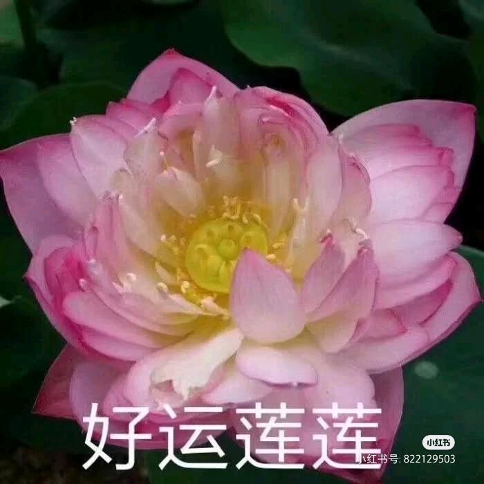 璐璐妈妈