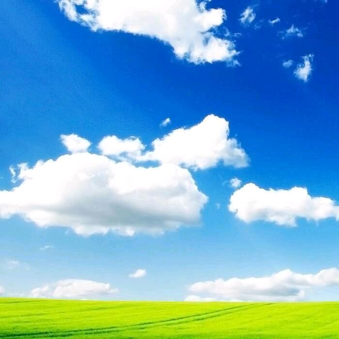 每日一景