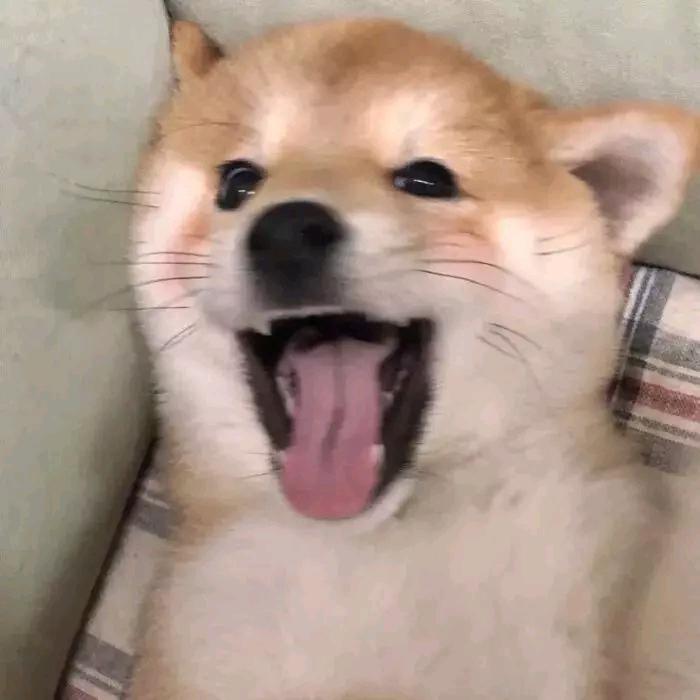 北欢。