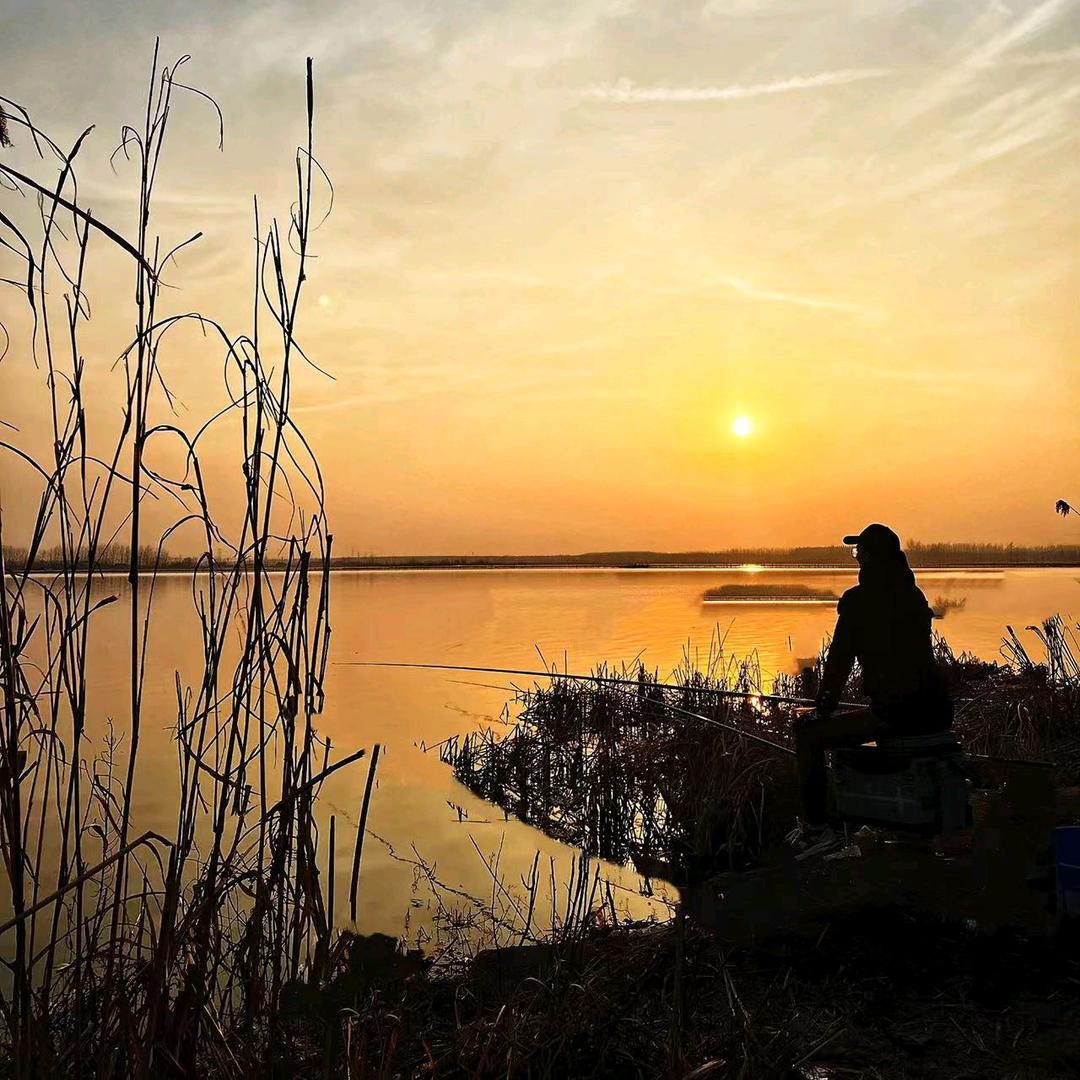 🌈☂゛野钓手ꦿ🌈