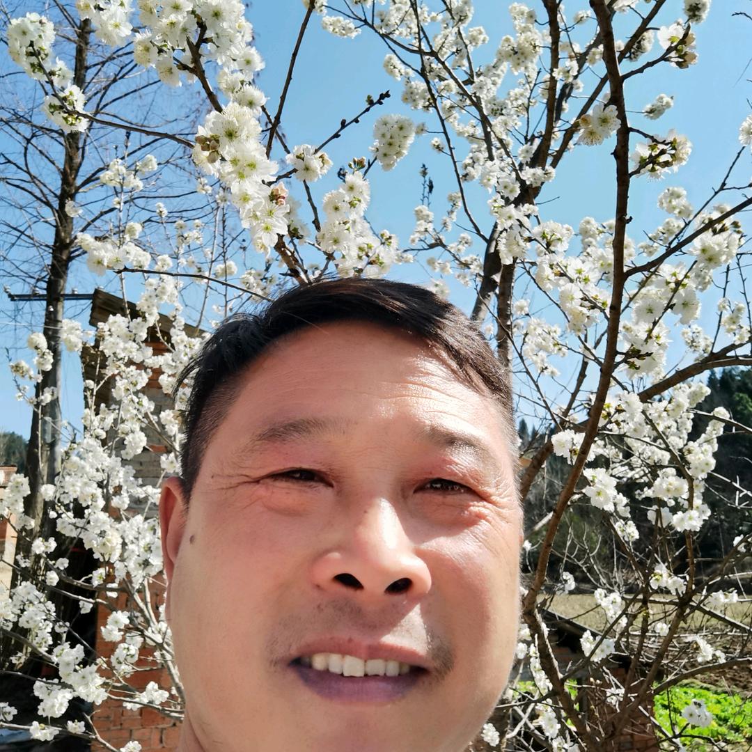 李春羽