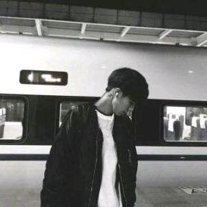山海皆爱意