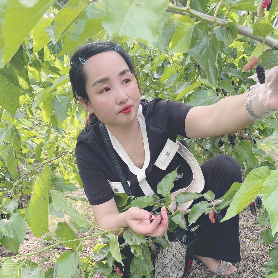 一品香粥