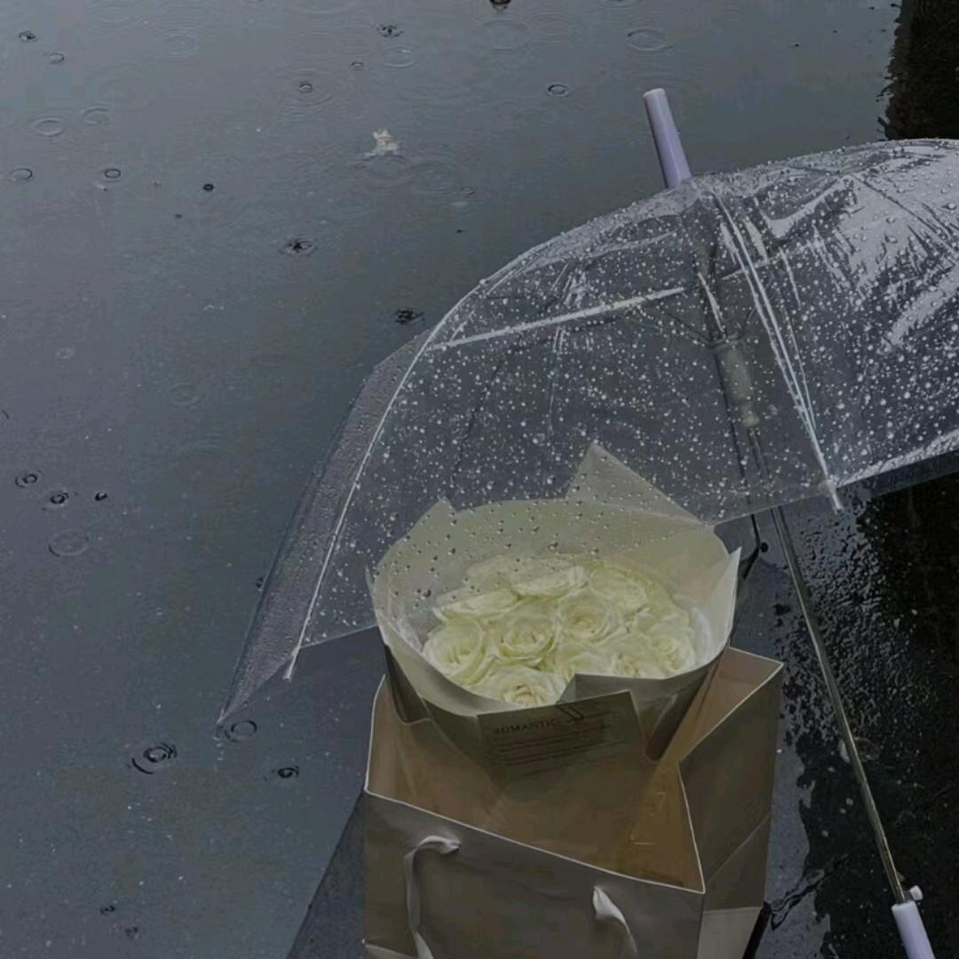 晨风暖