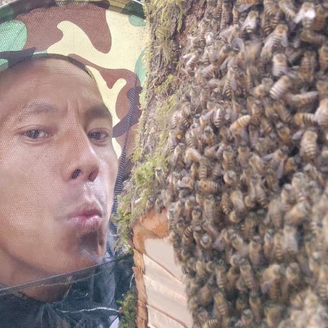土蜂蜜
