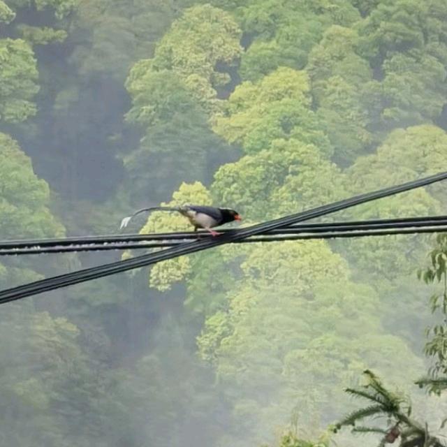 心若向阳【做好自己】