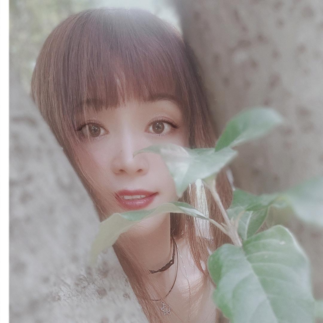 杨姐姐😍《好物在橱窗》