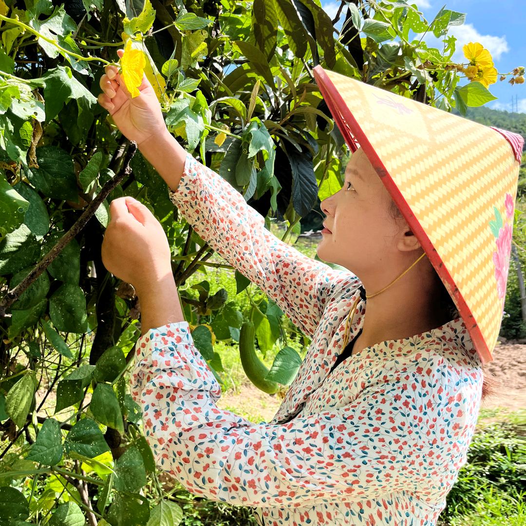 湘村元妹子