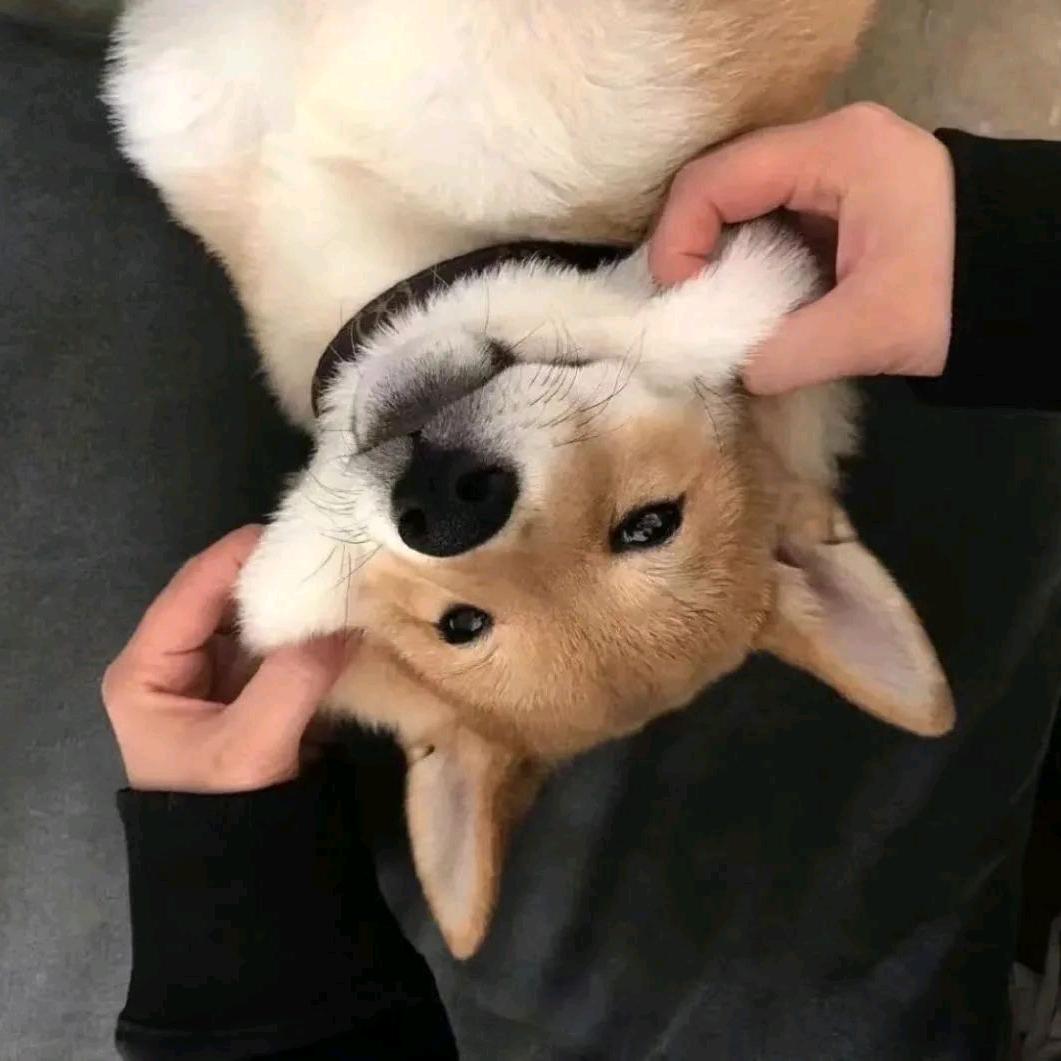 ⭐⭐