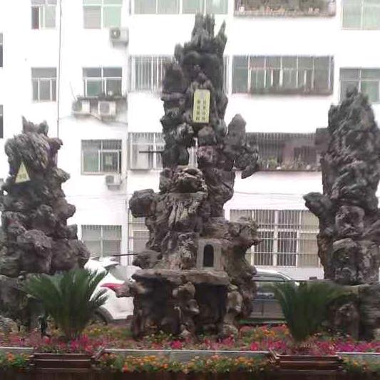 杨秦