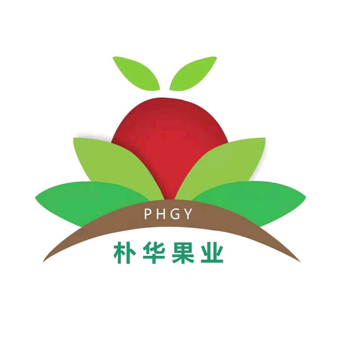 朴华黄桃蟠桃采摘基地