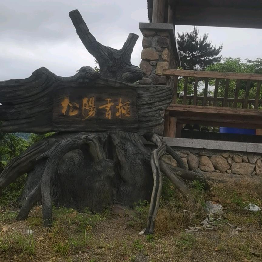 烟酒疗心伤