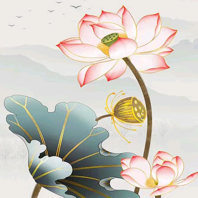 初见🙏