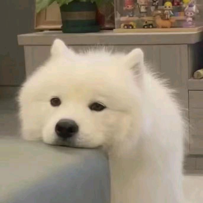 你的文字还爱他