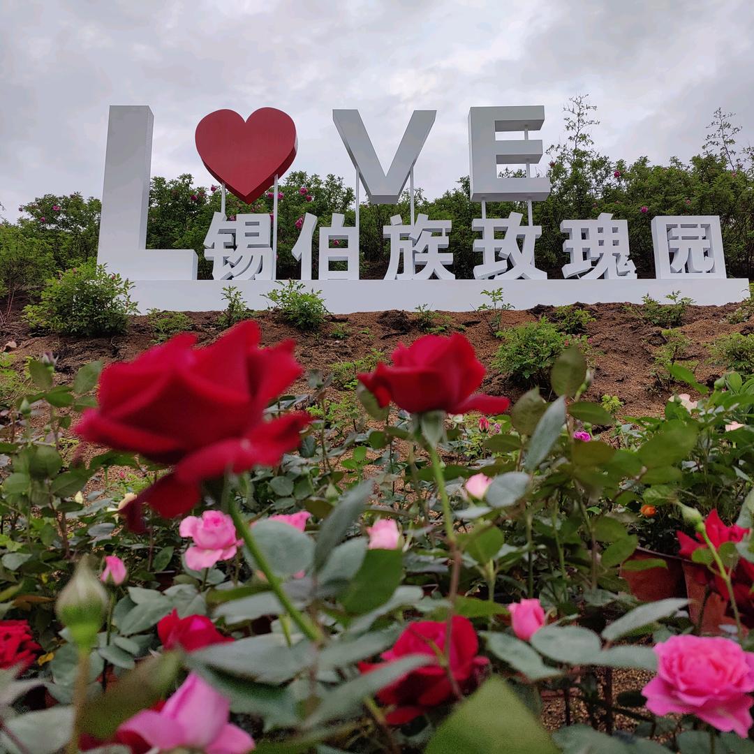 抚顺露营烧烤陆姐