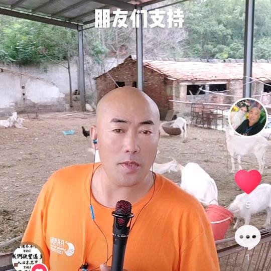 高密贵合豆腐歌