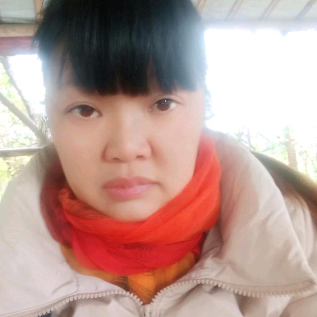 苏醒的梦