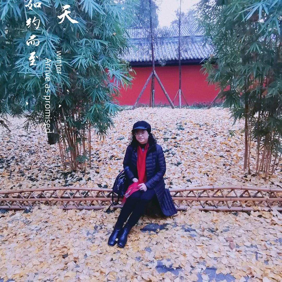 小云云