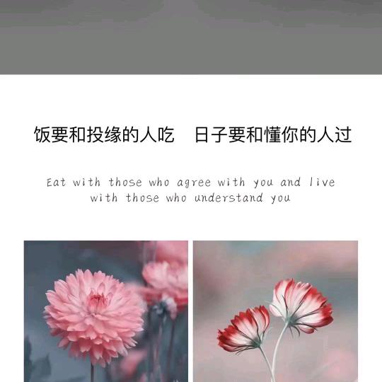 ৯᭄✿叶❥˙柳青儿🍊✿ꦿ້ঞ