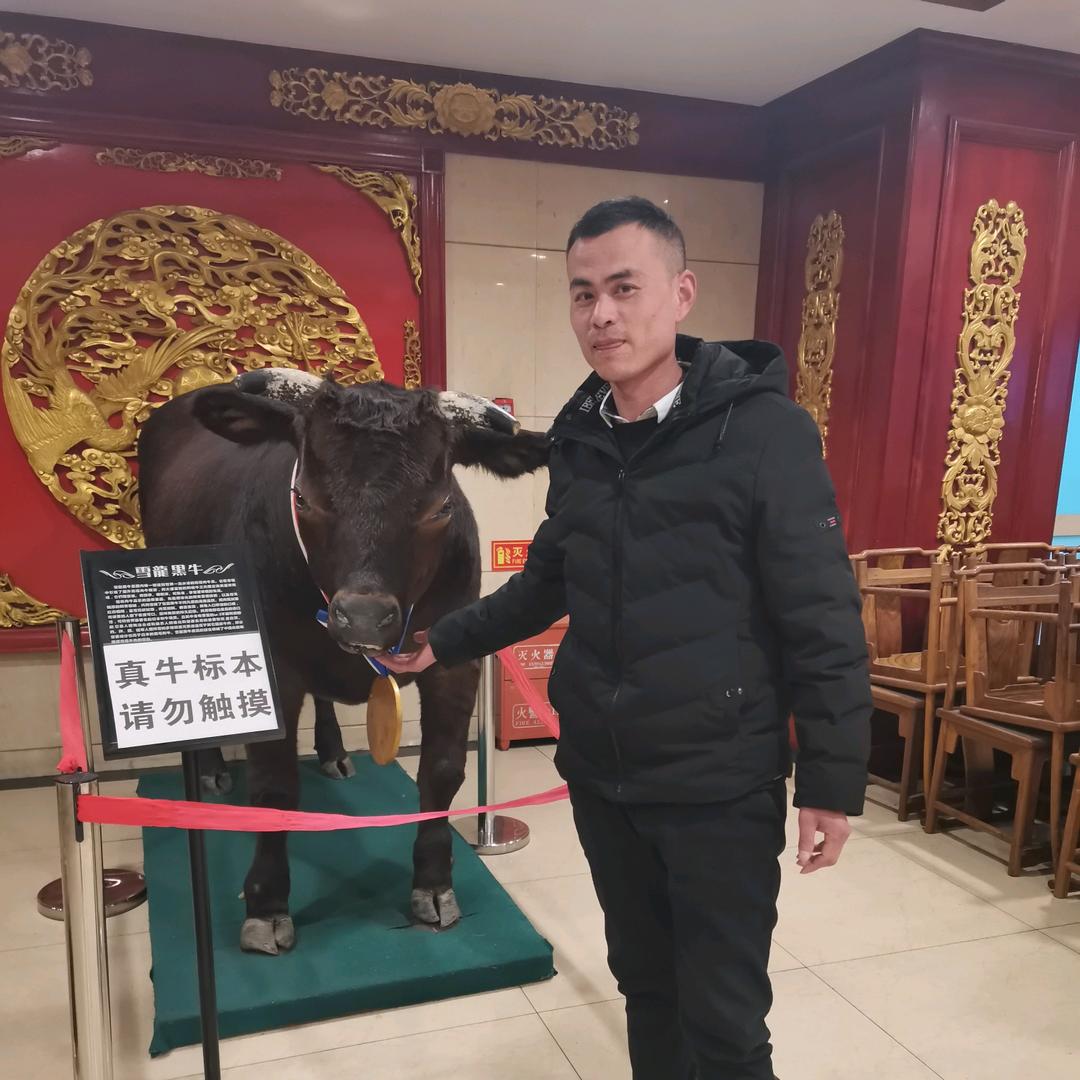 亮哥农场日常
