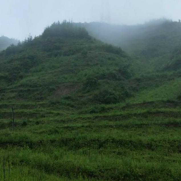 等风等雨我等你🌧🌧🌧🌧