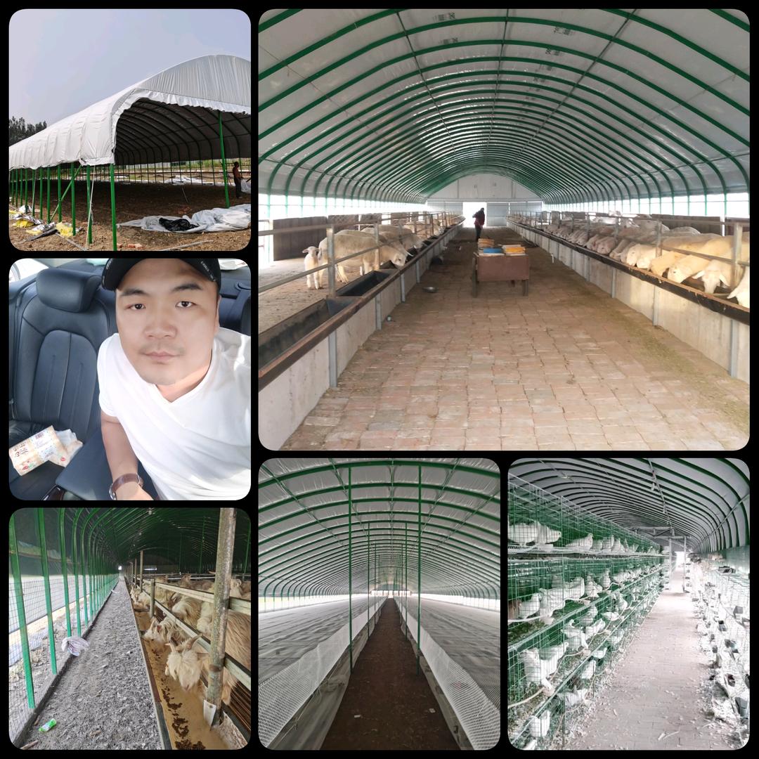 河南天城专业搭建养殖棚