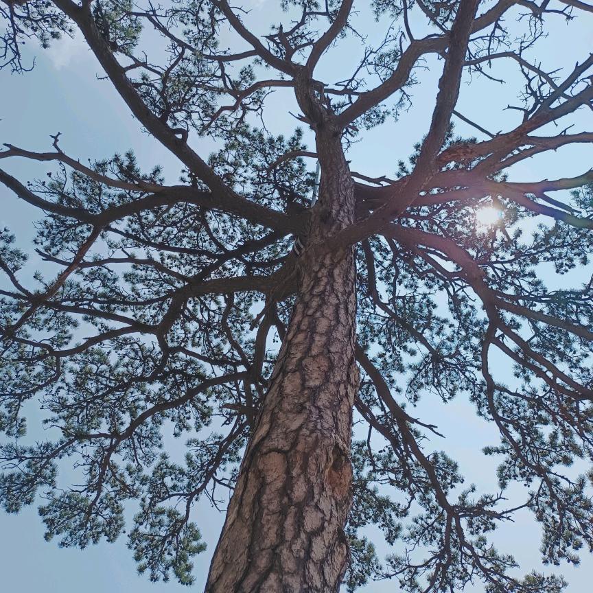 幸福的拾荒者4rdq